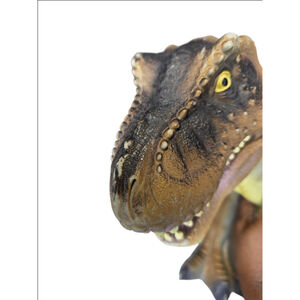 Boys large, soft-feel Tyrannosaurus Rex (T-Rex) dinosaur figure, Toys R US